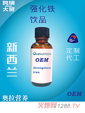 強化鐵飲品（瓶裝）